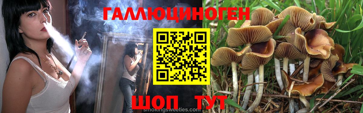 Галлюциногенные грибы Psilocybe  Вход с VPN  Саров 