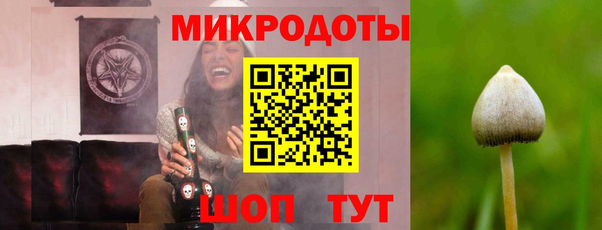 Псилоцибиновые грибы мухоморы Саров